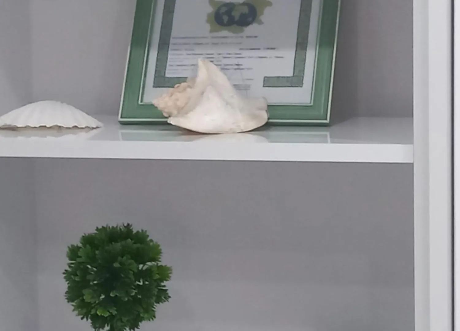 Apartment Krisiya In بورغاس